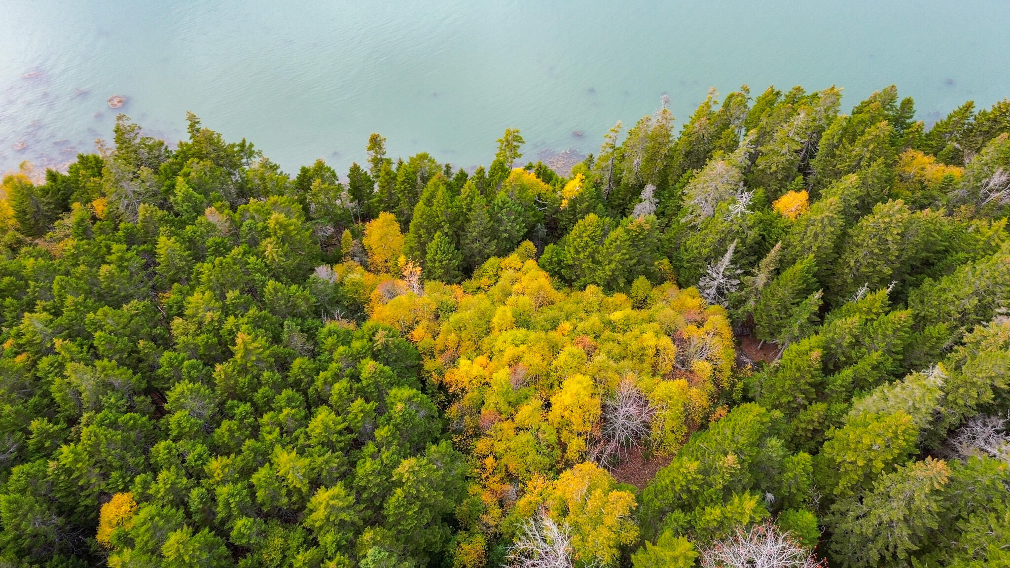 M2-lot6-5b Nepp Point Road Roque Bluffs, ME 04654 - Photo 5 of 18 Shoreline