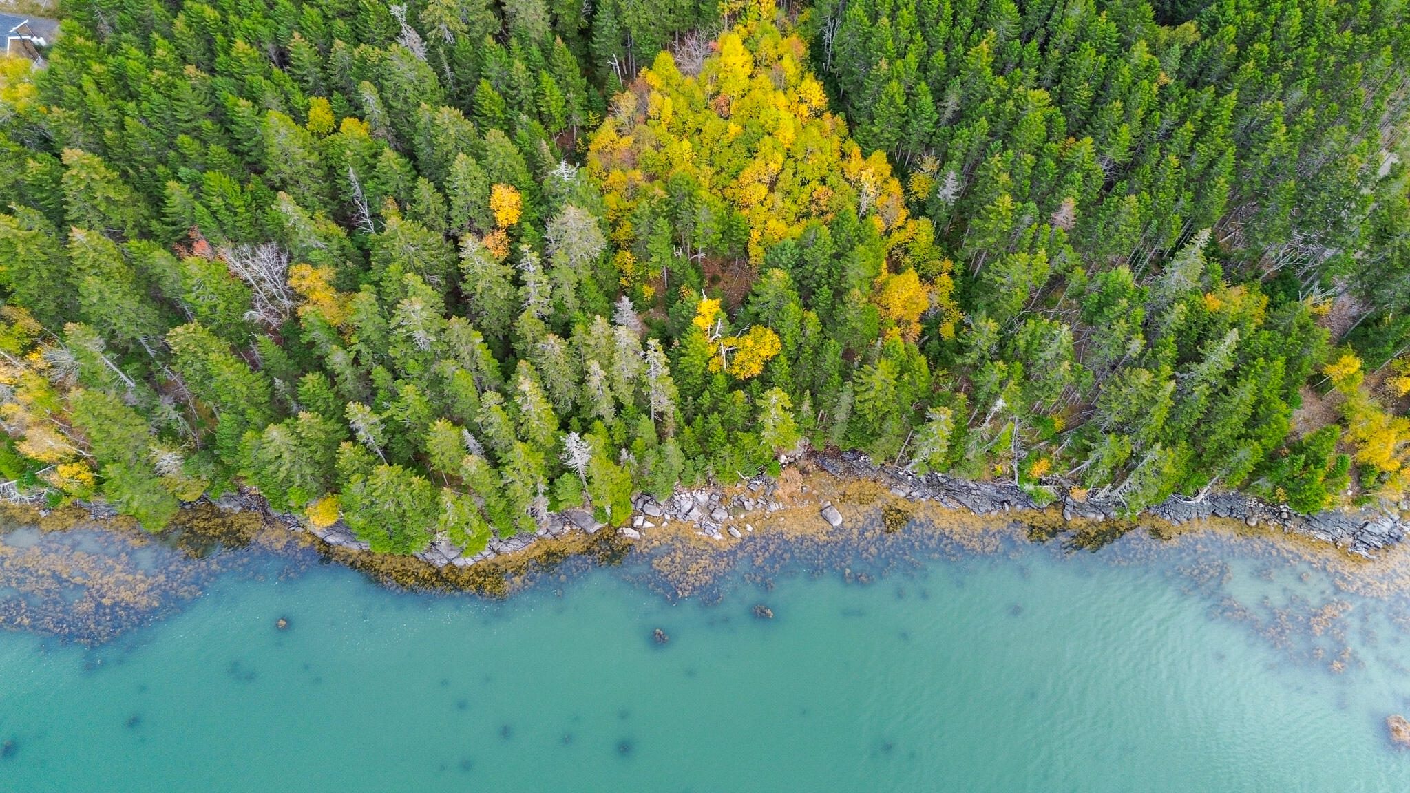 M2-lot6-5b Nepp Point Road Roque Bluffs, ME 04654 - Photo 7 of 18 Shoreline