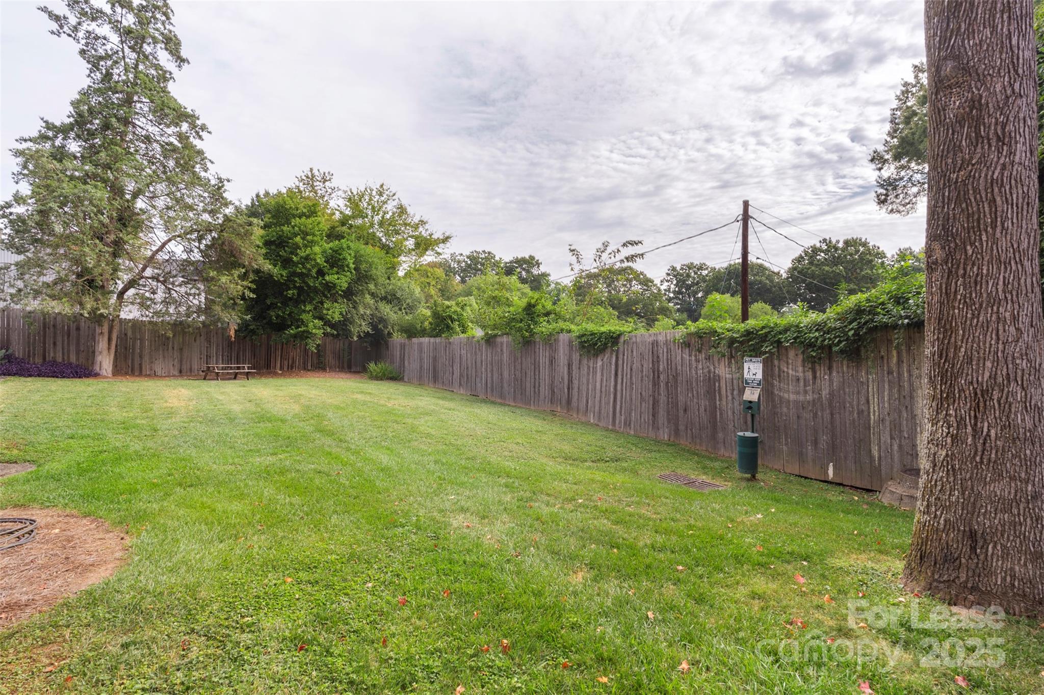 918 McAlway Road, Unit B Charlotte, NC 28211 - Photo 26 of 28 a view of a backyard with a tree and wooden fence