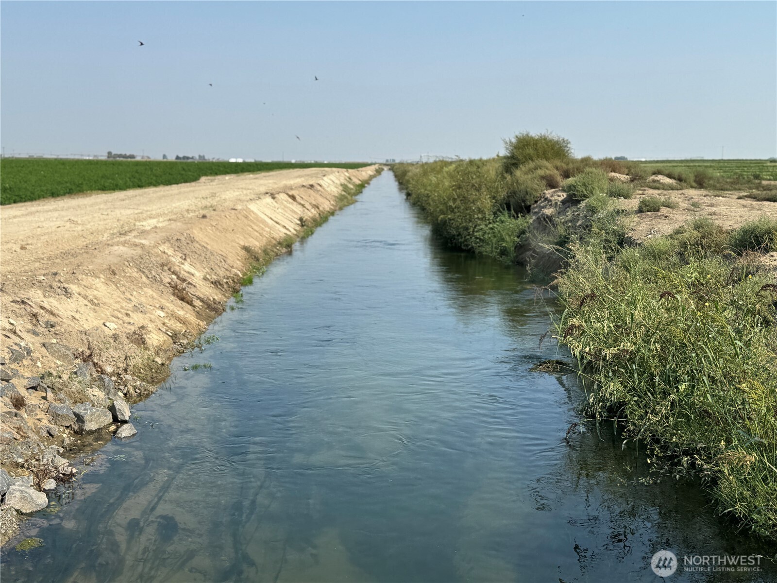 9002 Omer Road Mesa, WA 99343 - Photo 17 of 40 a view of lake and mountain