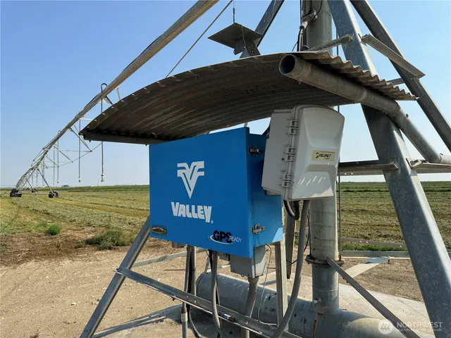 a view of a dry yard with wooden fence