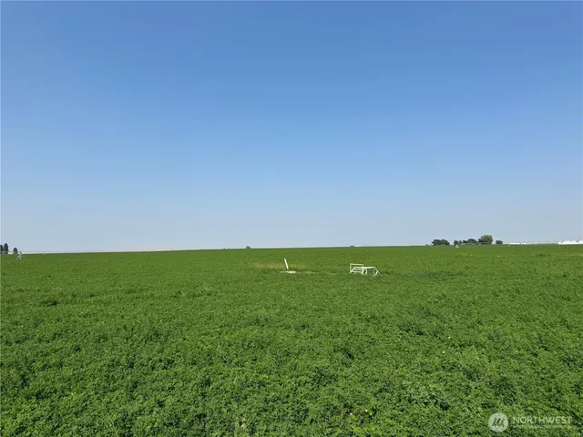 a view of a lake with a mountain