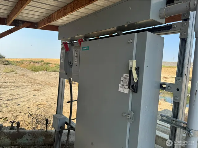 a view of a backyard with large trees