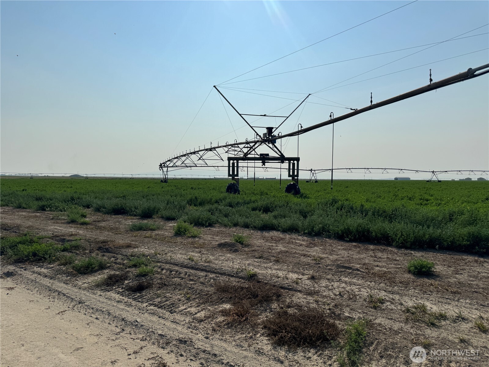 9002 Omer Road Mesa, WA 99343 - Photo 40 of 40 a view of a dry yard