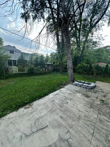 a view of a yard with plants and trees