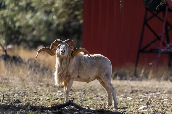 $5,199,000 | 3681 K2 Road, Leakey, TX 78873