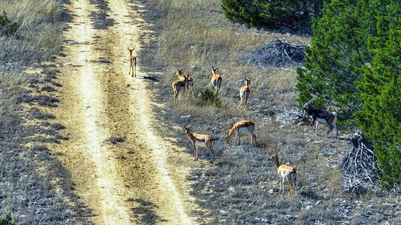 3681 K2 Road Leakey, TX 78873 - Photo 31 of 40
