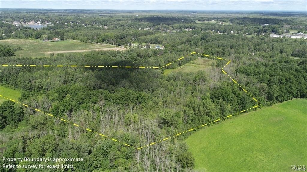 9141 River Road Lysander, NY 13135 - Photo 13 of 24