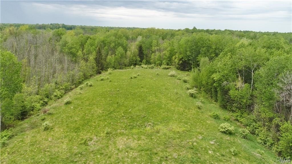 9141 River Road Lysander, NY 13135 - Photo 14 of 24