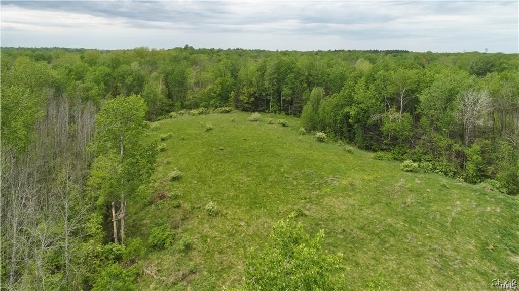 9141 River Road Lysander, NY 13135 - Photo 8 of 24