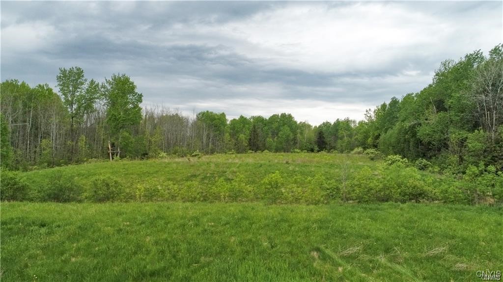 9141 River Road Lysander, NY 13135 - Photo 10 of 24