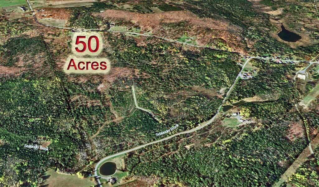 Lot 121 East Road New Sweden, ME 04762 - Photo 10 of 29 50-acres-maine-land