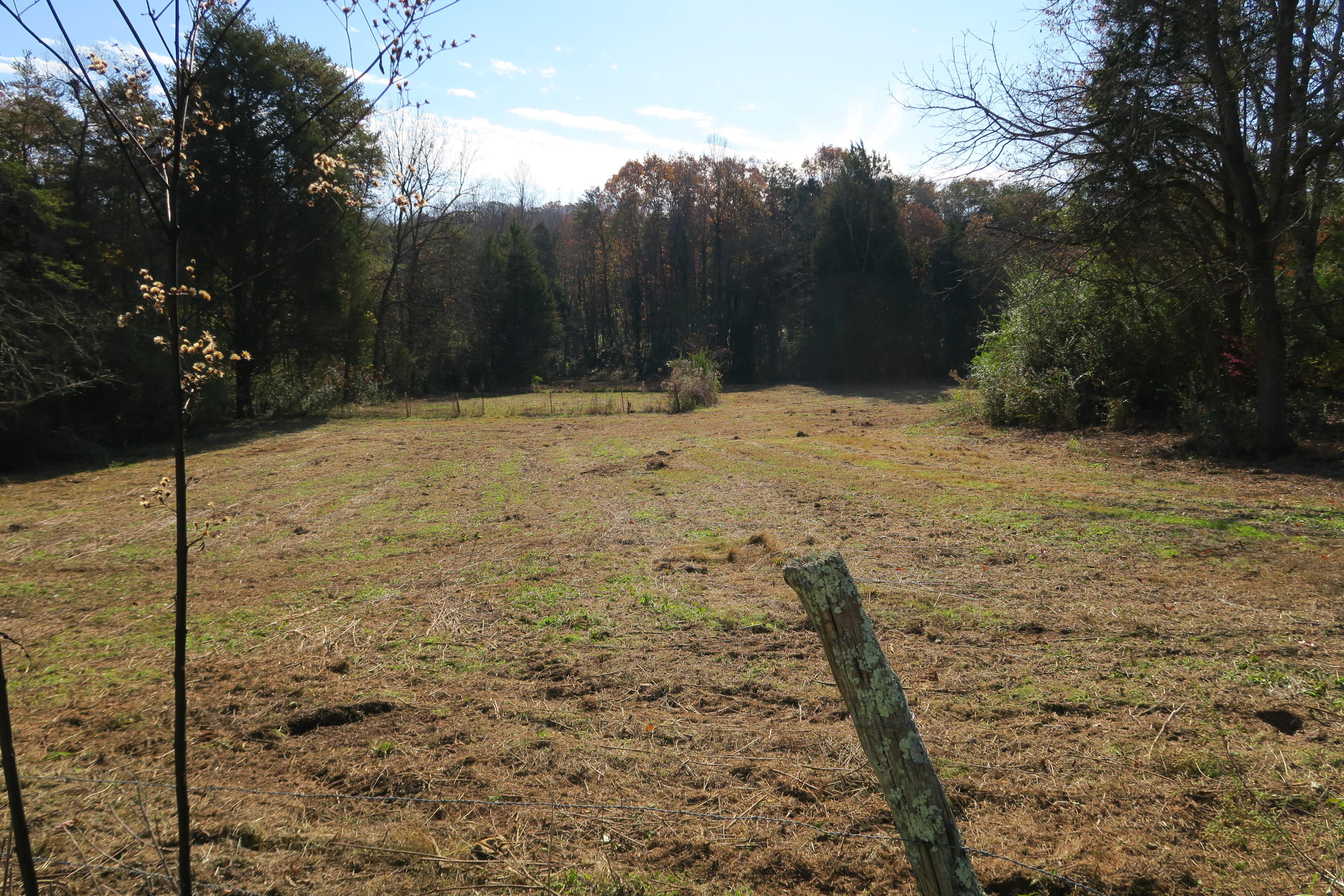 4461 Floyd Lee Road Friendsville, TN 37737 - Photo 12 of 35 IMG_0087