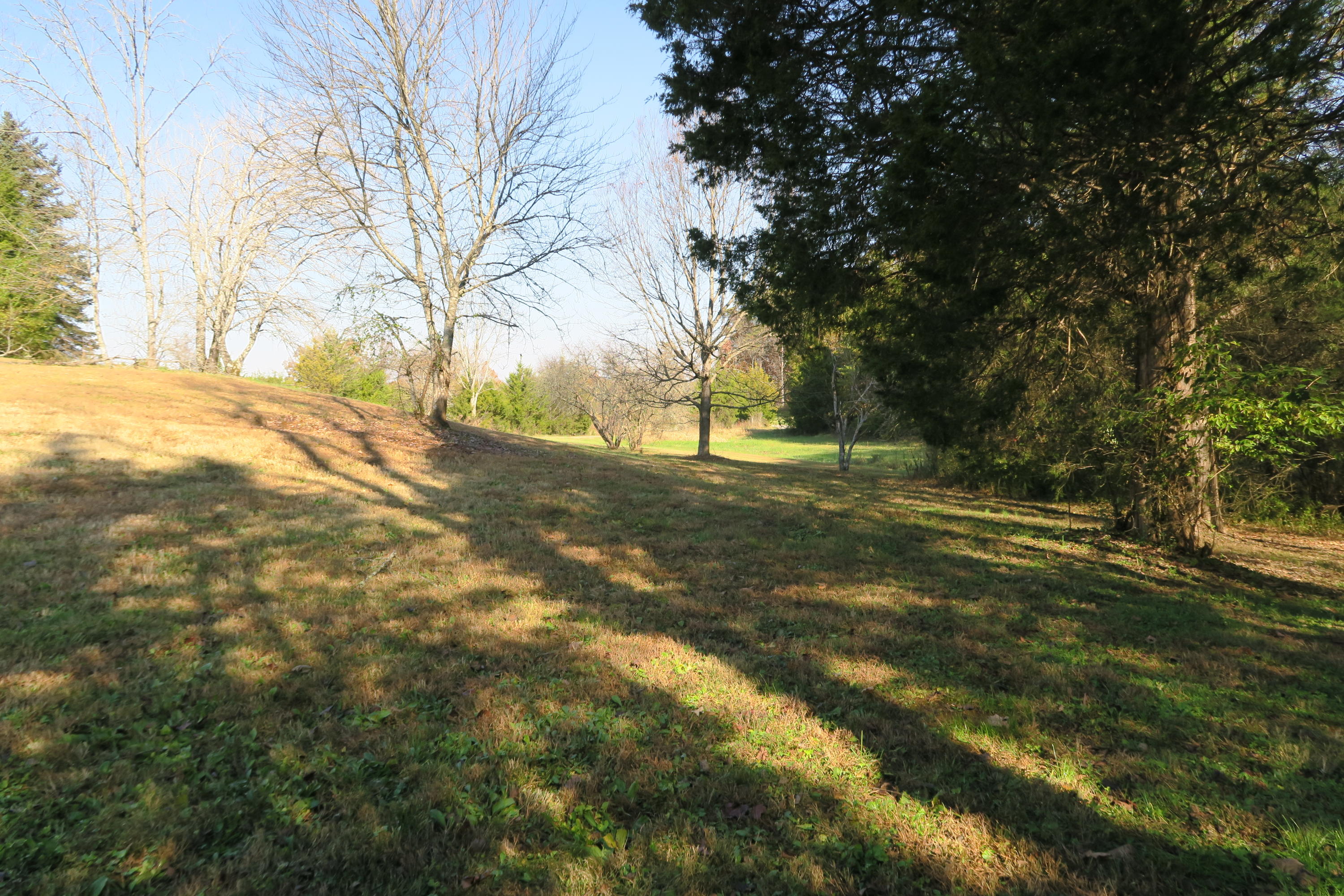 4461 Floyd Lee Road Friendsville, TN 37737 - Photo 14 of 35 IMG_0090