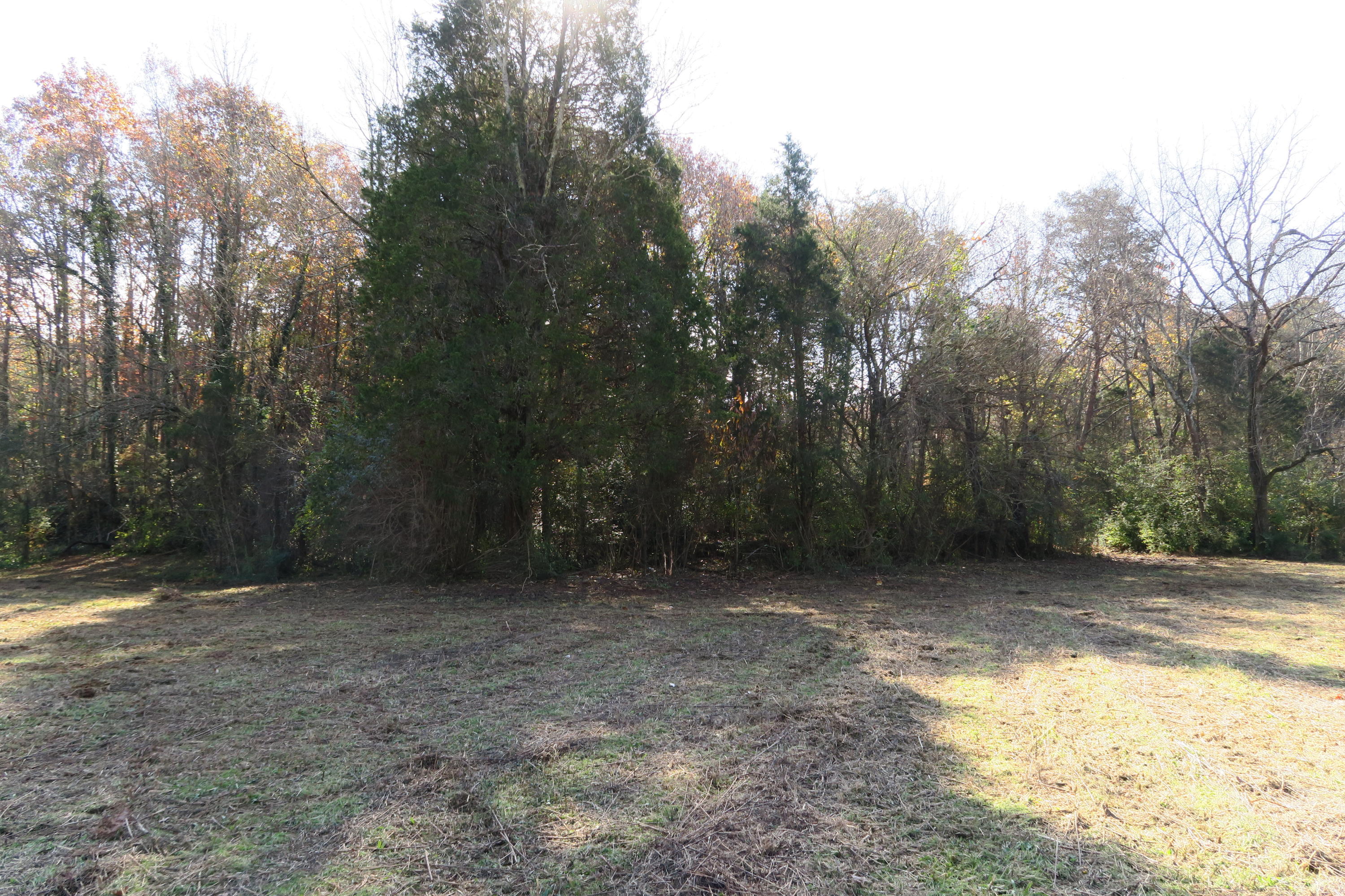 4461 Floyd Lee Road Friendsville, TN 37737 - Photo 16 of 35 IMG_0125