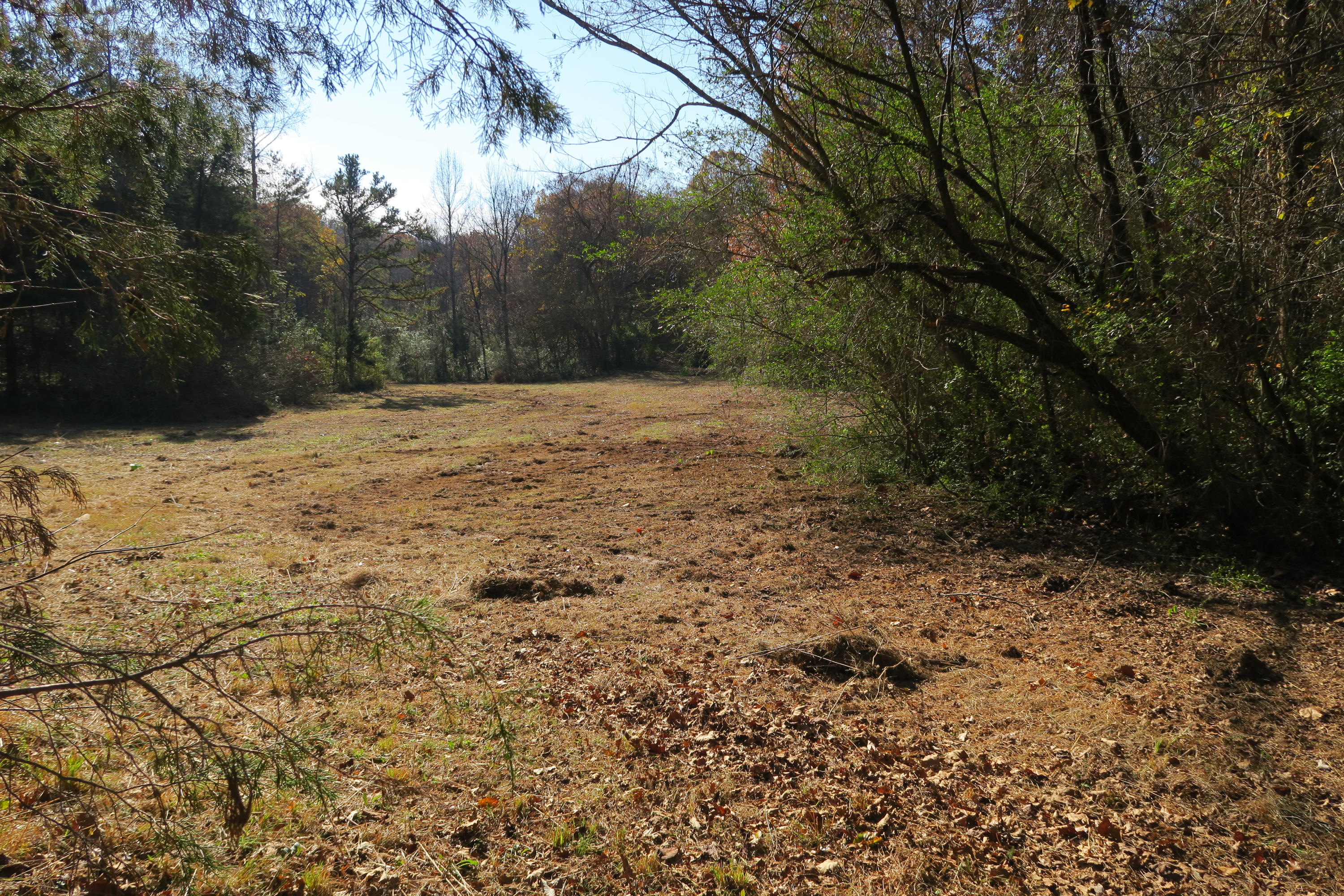 4461 Floyd Lee Road Friendsville, TN 37737 - Photo 18 of 35 IMG_0129