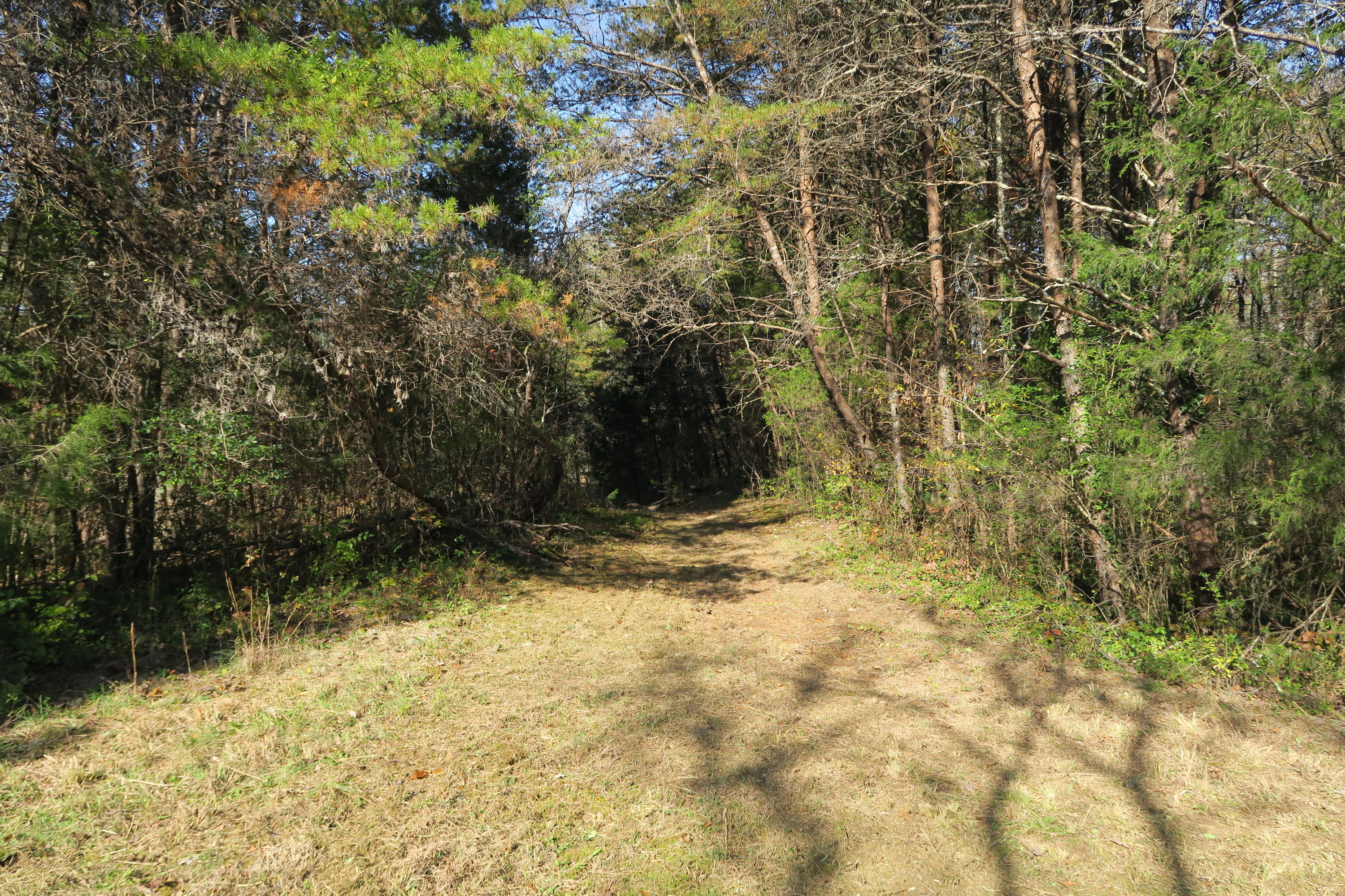 4461 Floyd Lee Road Friendsville, TN 37737 - Photo 20 of 35 IMG_0131