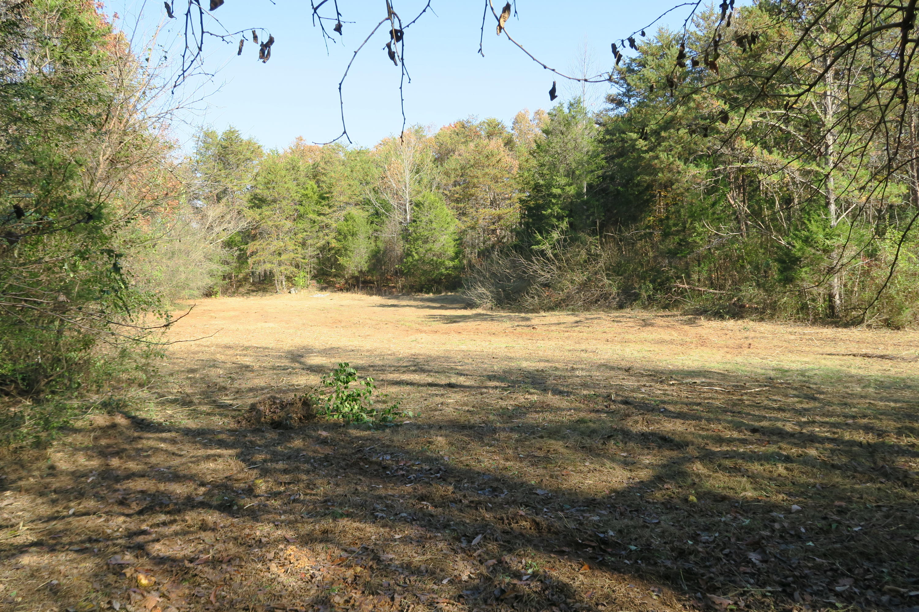 4461 Floyd Lee Road Friendsville, TN 37737 - Photo 23 of 35 IMG_0138