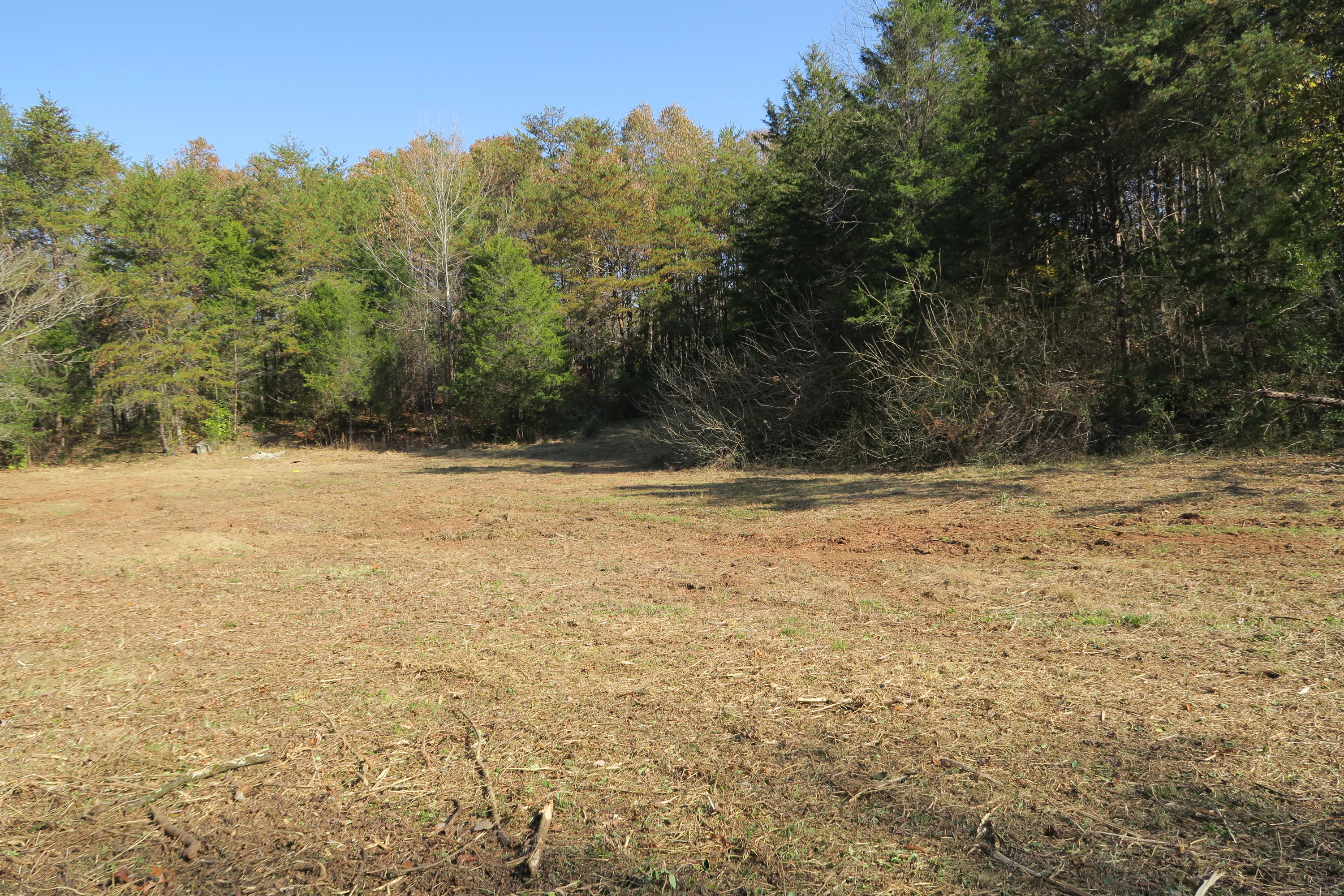 4461 Floyd Lee Road Friendsville, TN 37737 - Photo 24 of 35 IMG_0140