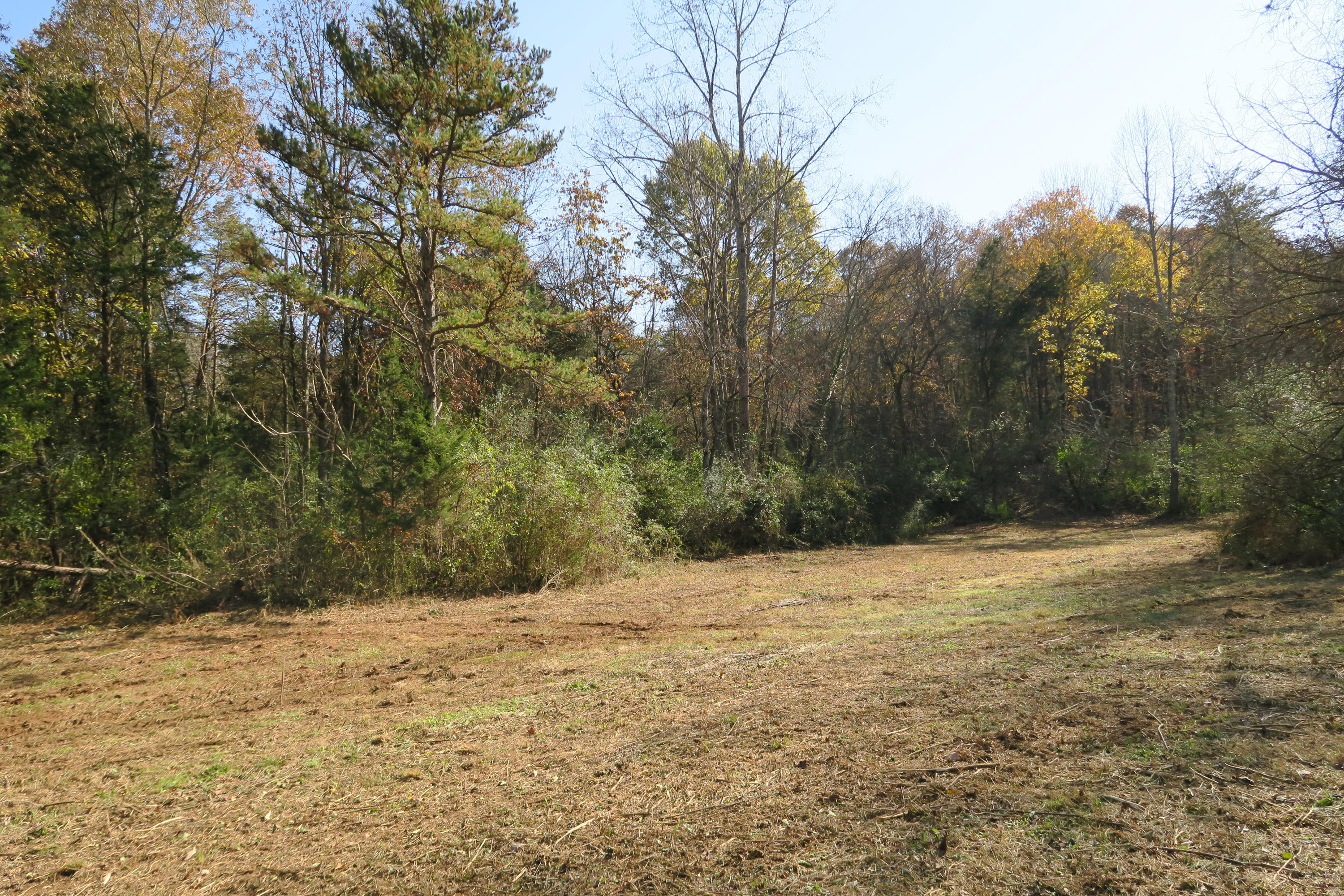 4461 Floyd Lee Road Friendsville, TN 37737 - Photo 25 of 35 IMG_0142