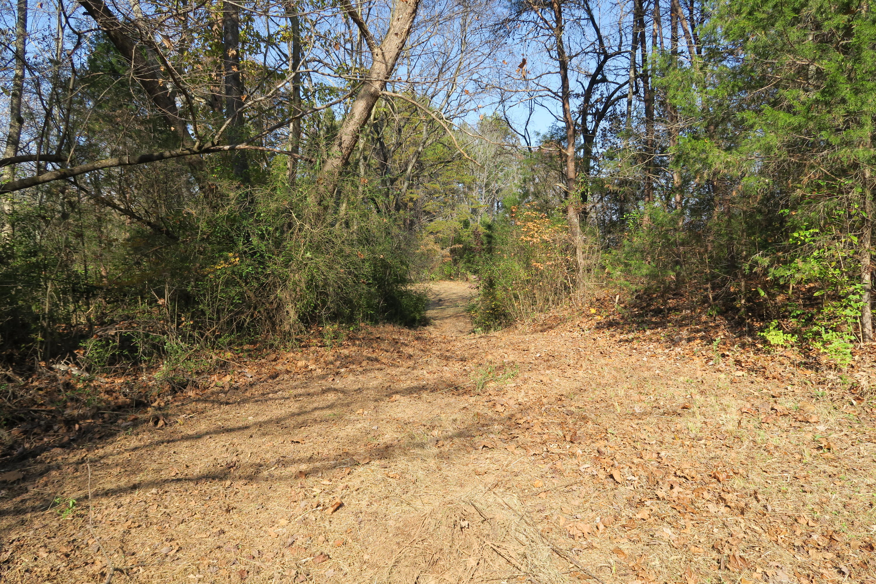 4461 Floyd Lee Road Friendsville, TN 37737 - Photo 26 of 35 IMG_0143