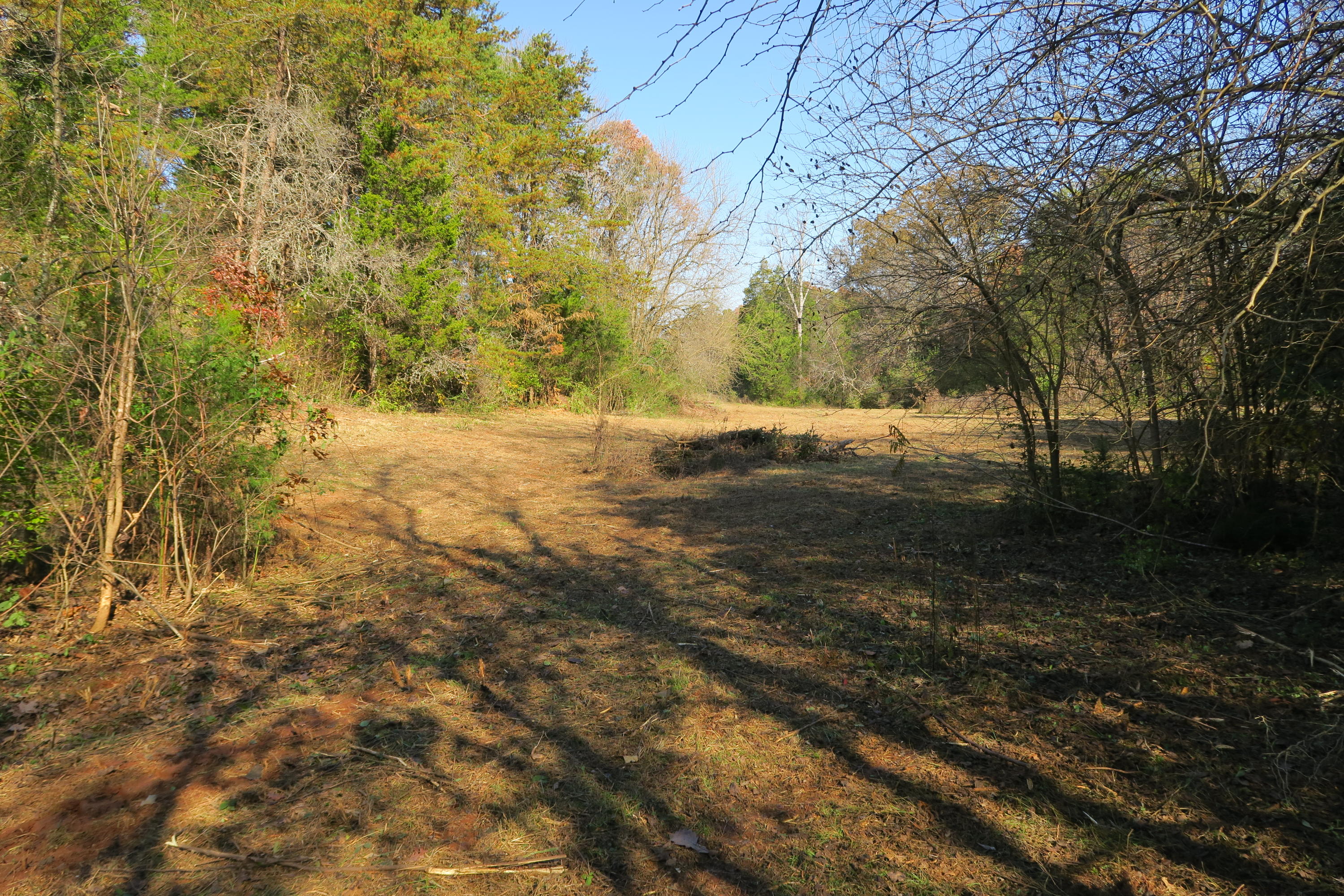 4461 Floyd Lee Road Friendsville, TN 37737 - Photo 27 of 35 IMG_0145