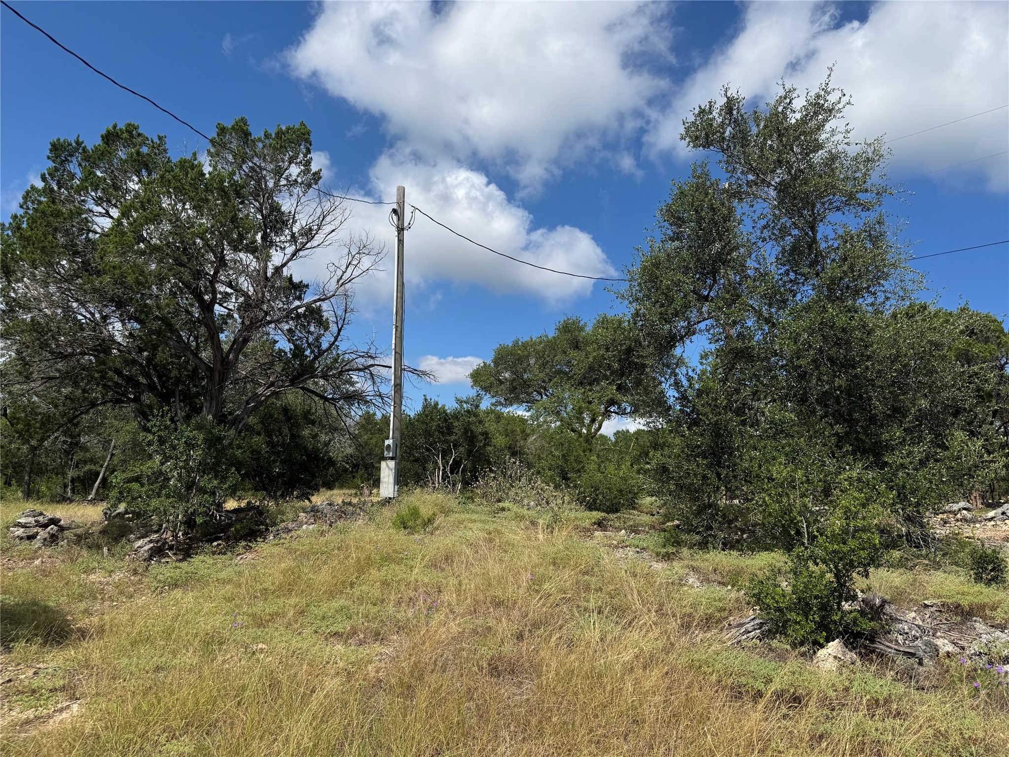 242 Landons Way Georgetown, TX 78633 - Photo 7 of 30 Mature trees and natural grasses define this generous, open lot.