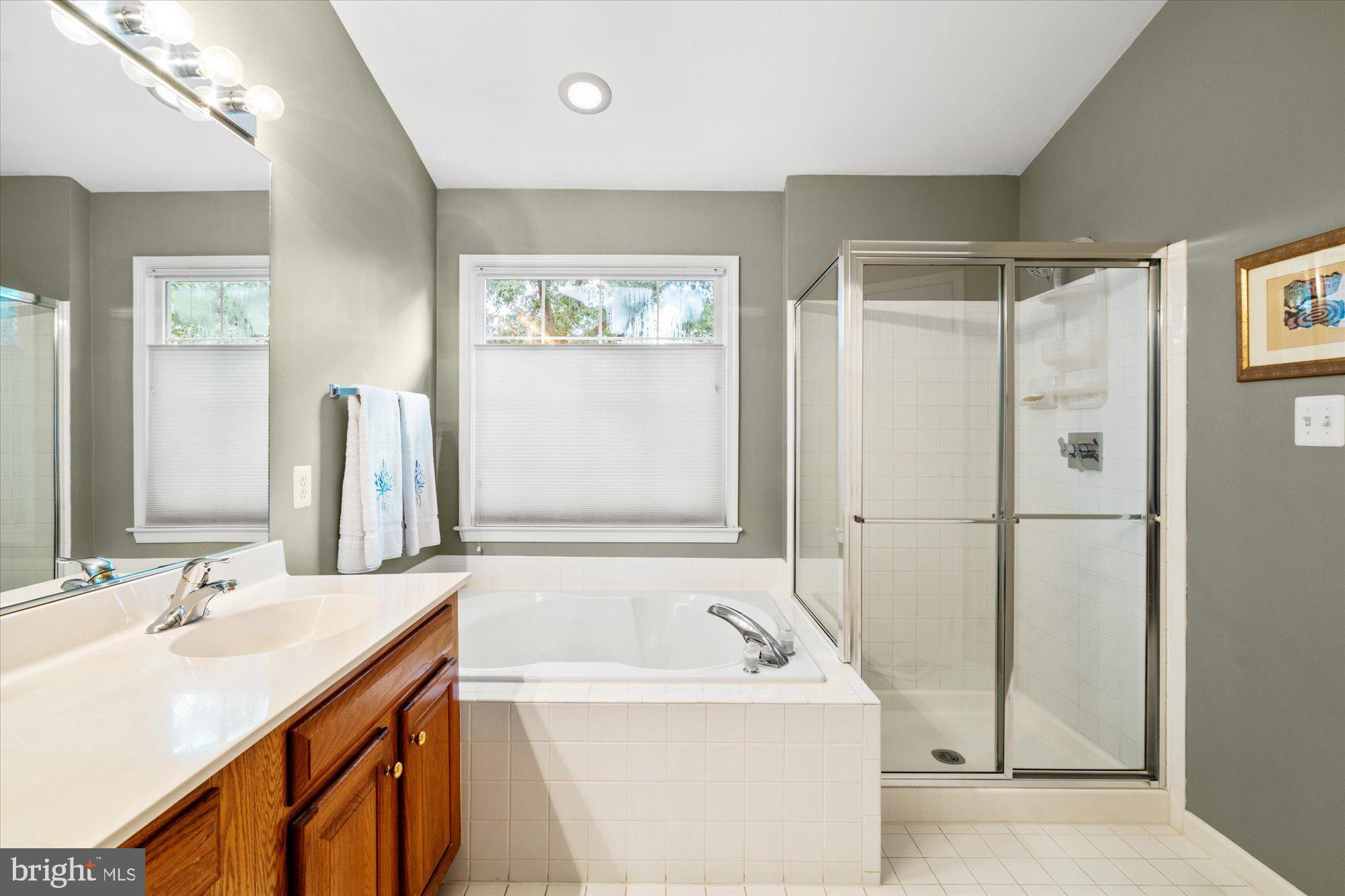 8510 Bells Ridge Terrace Potomac, MD 20854 - Photo 20 of 42 a bathroom with a tub sink and mirror