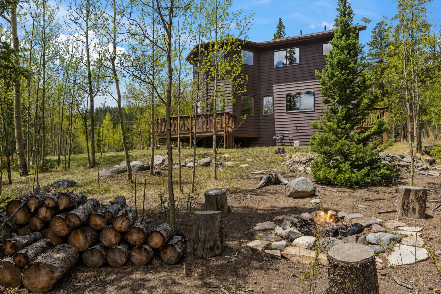 366 Quartzville Road Alma, CO 80420 - Photo 23 of 29 large, natural yard