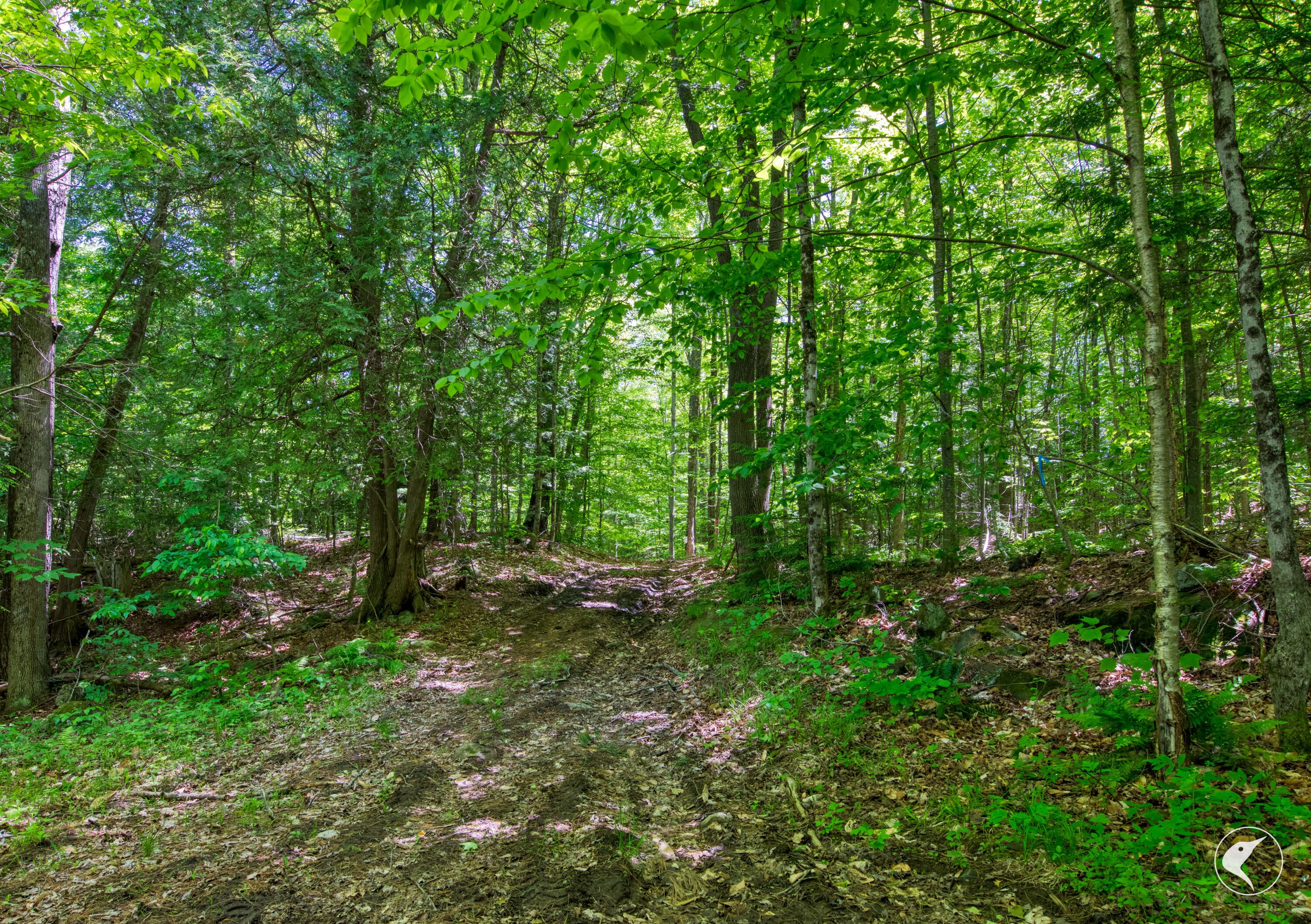 67 Sherman Lake Road Crown Point, NY 12928 - Photo 71 of 72