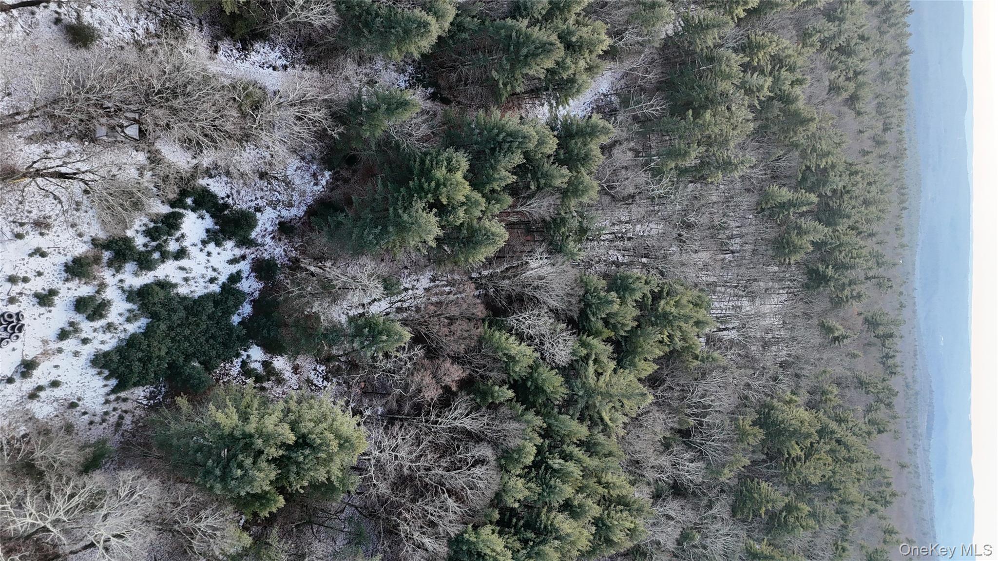 95 Skinner Road Wurtsboro, NY 12790 - Photo 16 of 49 a view of a forest with a street