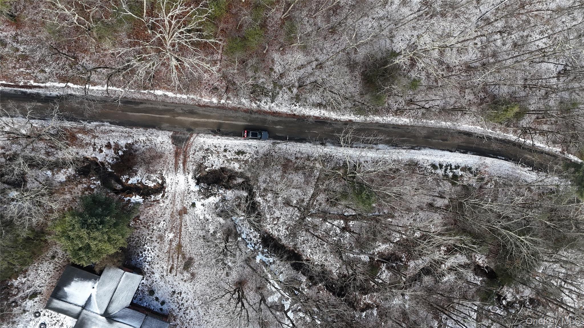 95 Skinner Road Wurtsboro, NY 12790 - Photo 17 of 49 a view of a yard with trees