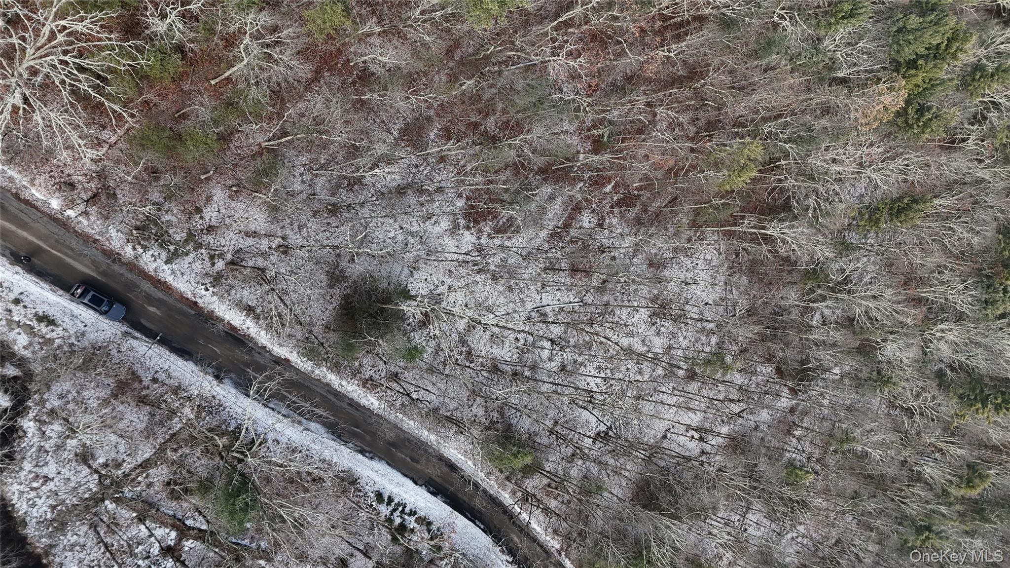 95 Skinner Road Wurtsboro, NY 12790 - Photo 18 of 49 a view of a dry yard with wooden floor and fence