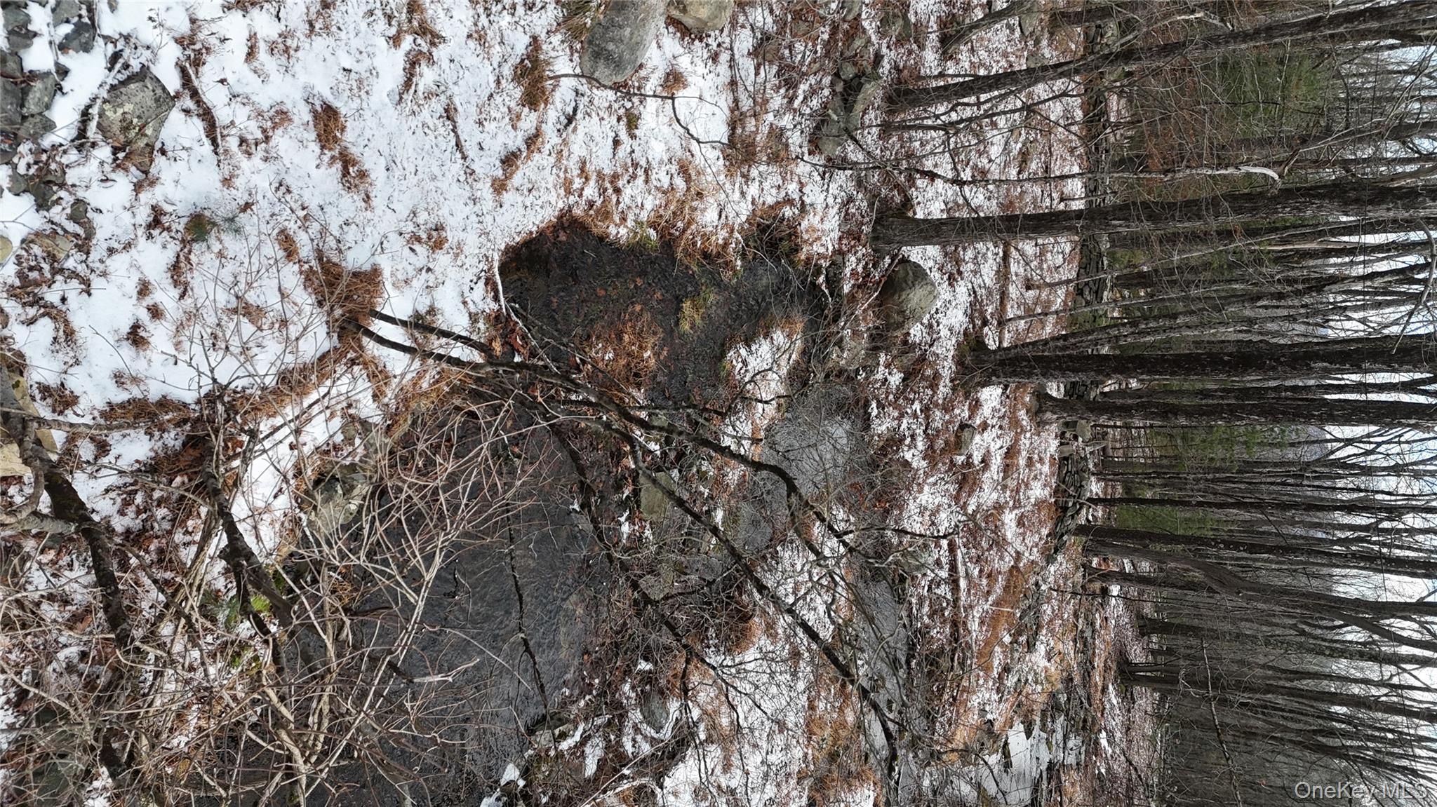 95 Skinner Road Wurtsboro, NY 12790 - Photo 22 of 49 a view of a yard with trees