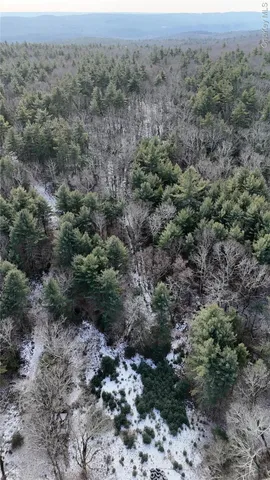 $299,000 | 179-260 Skinner Road, Wurtsboro, NY 12790