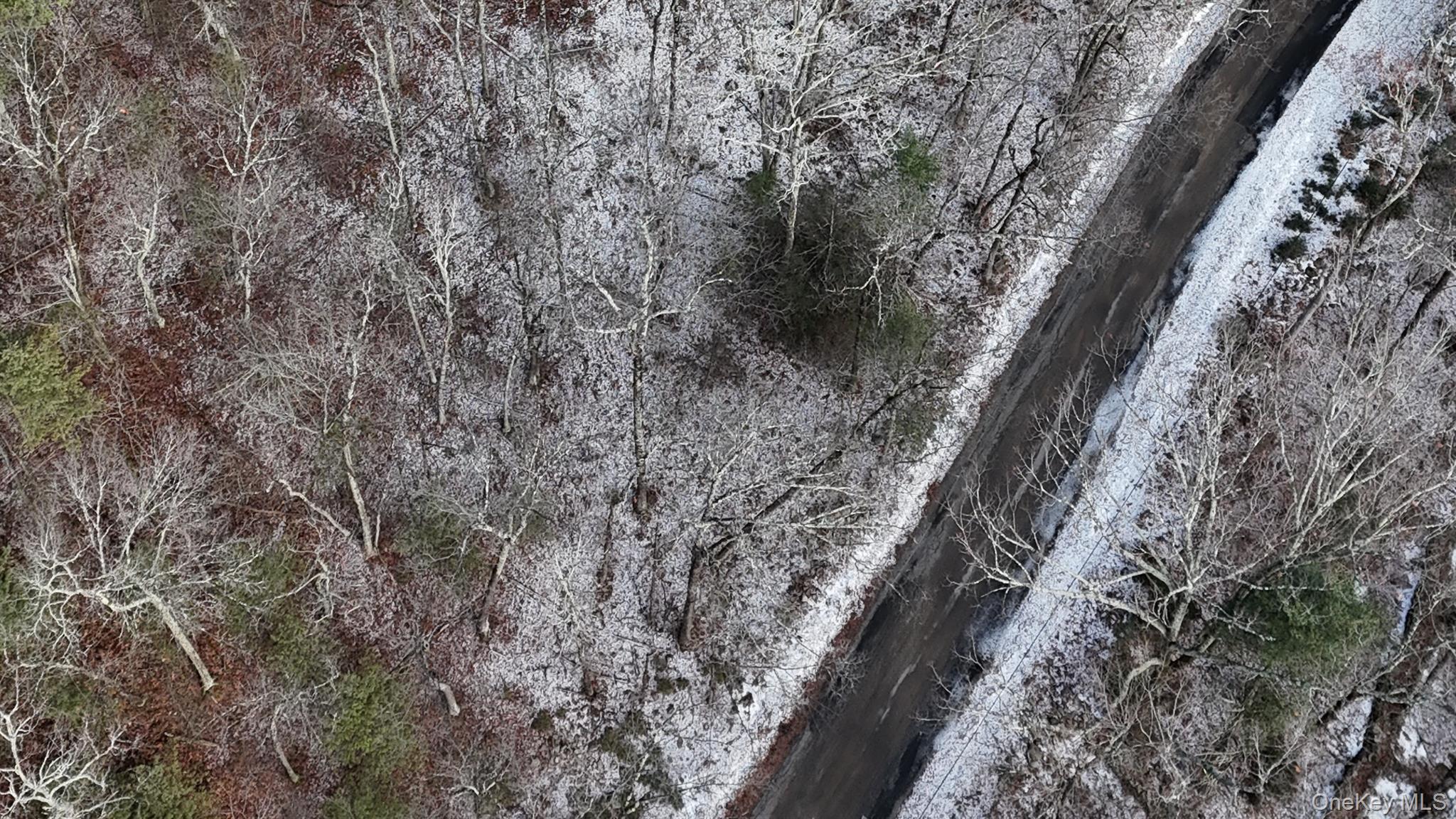 95 Skinner Road Wurtsboro, NY 12790 - Photo 25 of 49 a view of a dry yard with trees in front of a house