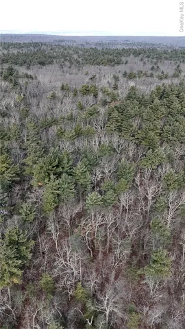 $299,000 | 179-260 Skinner Road, Wurtsboro, NY 12790