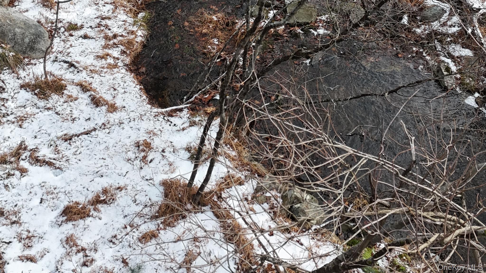 95 Skinner Road Wurtsboro, NY 12790 - Photo 27 of 49 a view of a tree in a yard