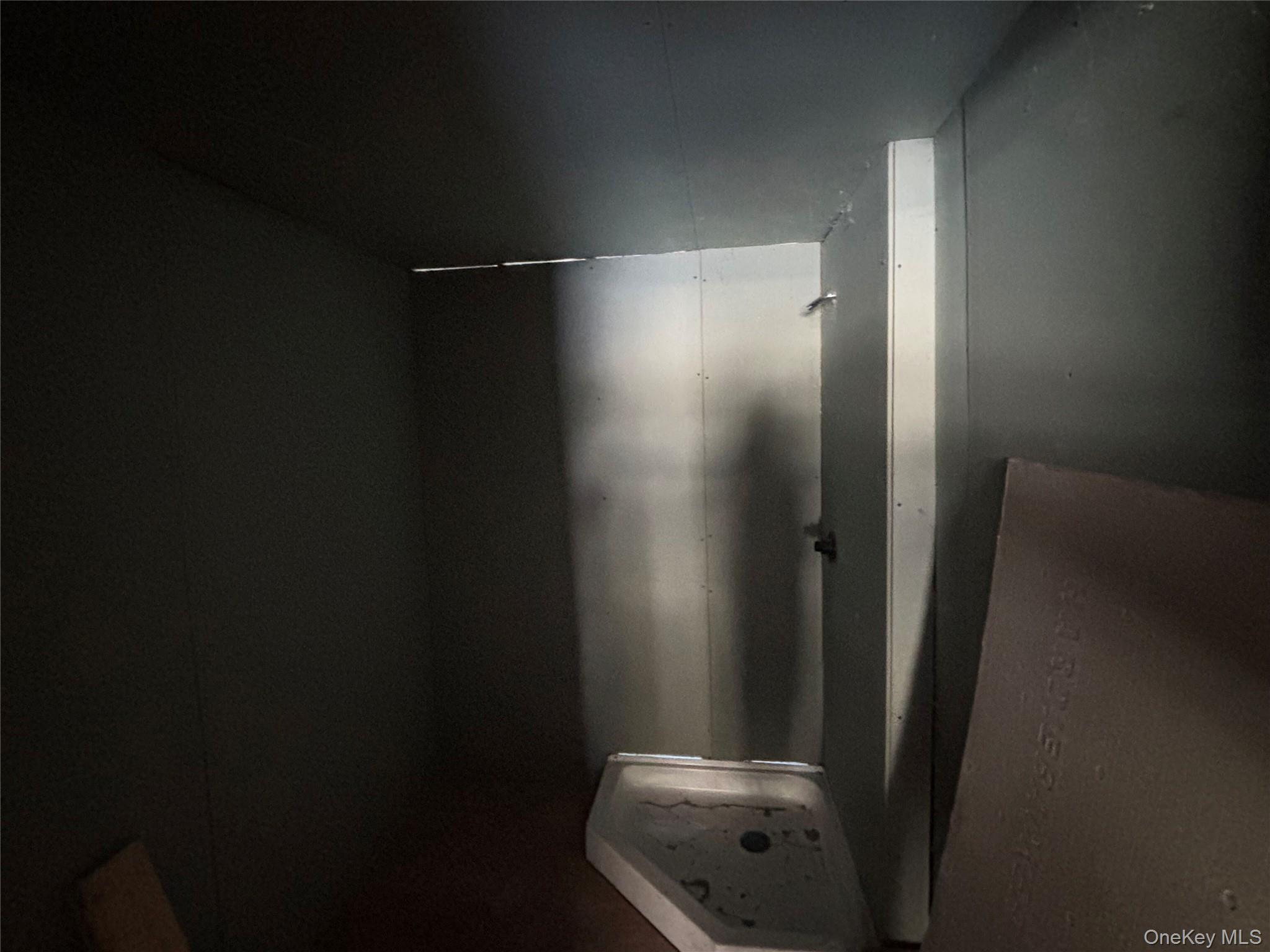 95 Skinner Road Wurtsboro, NY 12790 - Photo 38 of 49 a bathroom with a shower