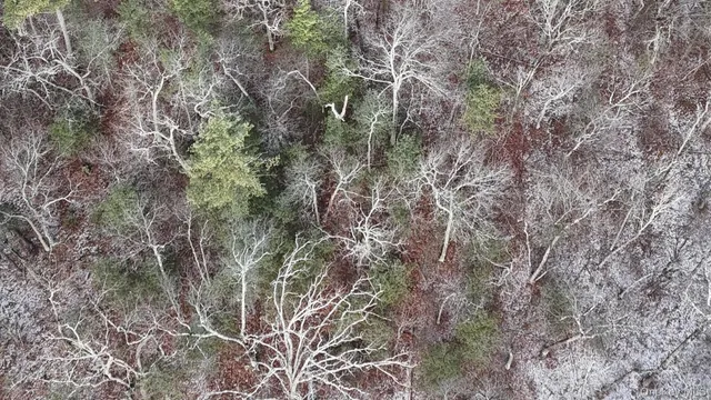 $299,000 | 179-260 Skinner Road, Wurtsboro, NY 12790