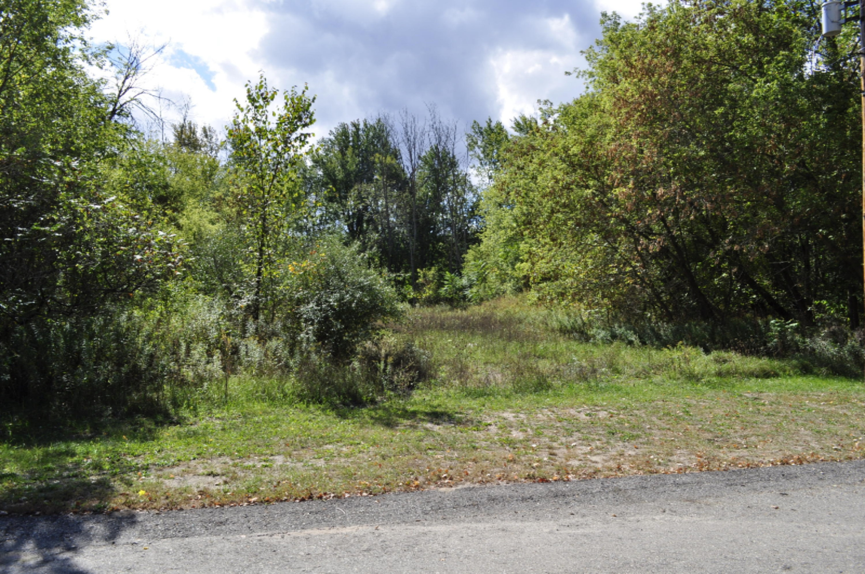 Lot 31 Stocking Street Belding, MI 48809 - Photo 2 of 5 _DSC0001