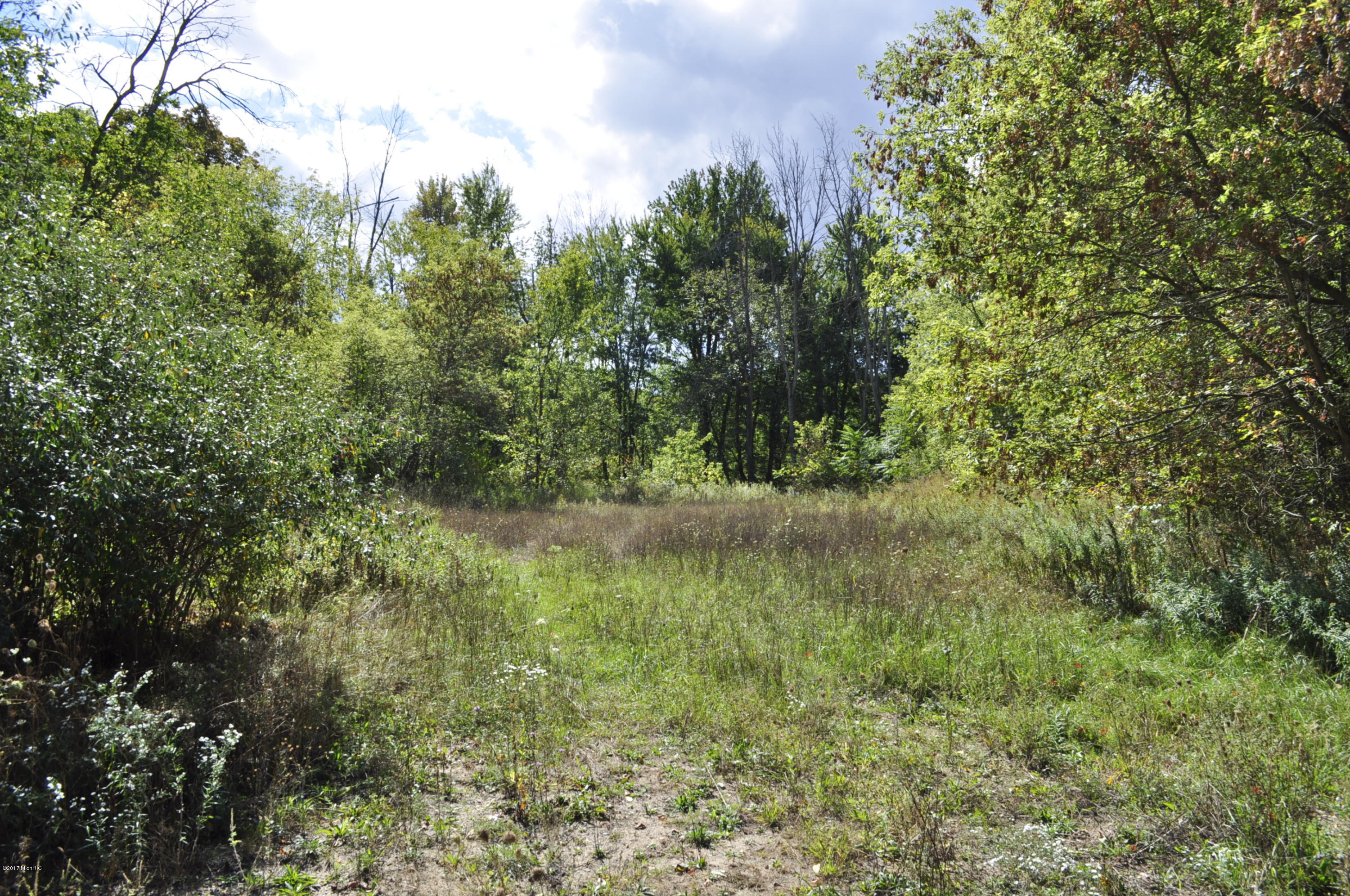 Lot 31 Stocking Street Belding, MI 48809 - Photo 3 of 5 _DSC0002