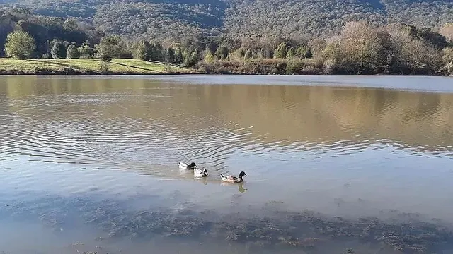 $695,000 | 21550 Us-127, Dunlap, TN 37327