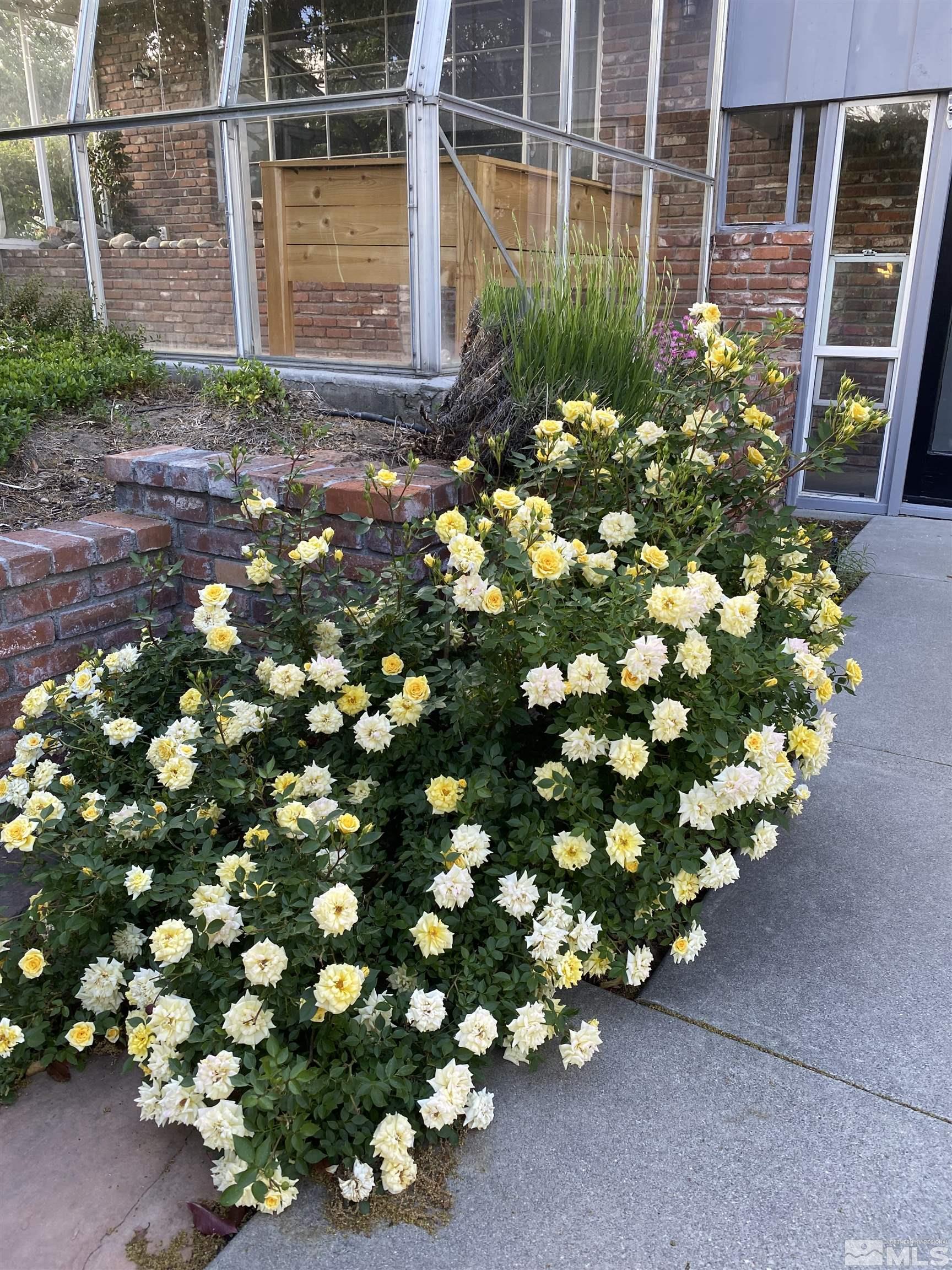 945 West 12th Street Reno, NV 89503 - Photo 28 of 29 a bunch of flowers in front of building