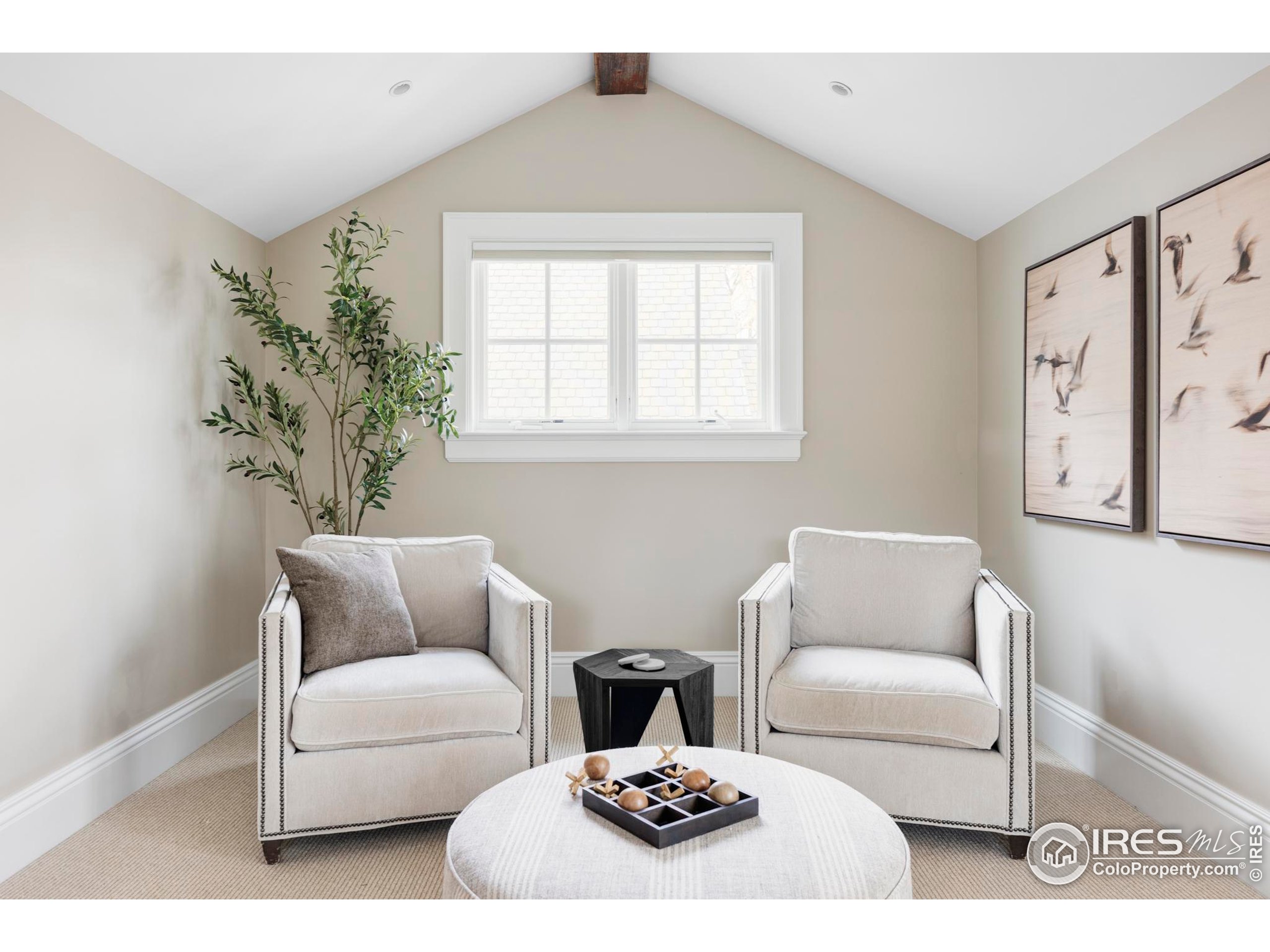 3189 5th Street Boulder, CO 80304 - Photo 31 of 37 a living room with furniture and a potted plant