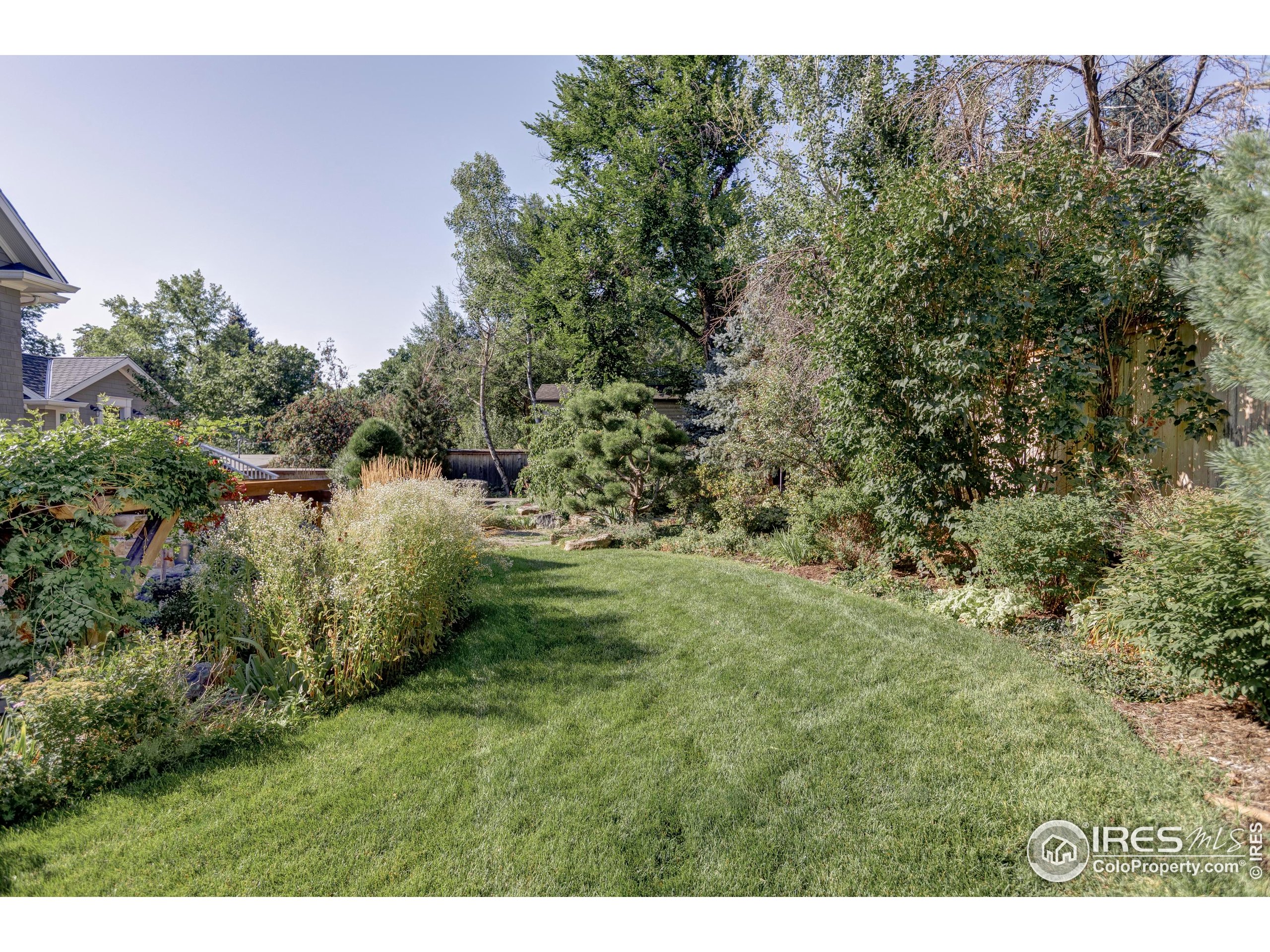 3189 5th Street Boulder, CO 80304 - Photo 33 of 37 a view of a yard with a tree