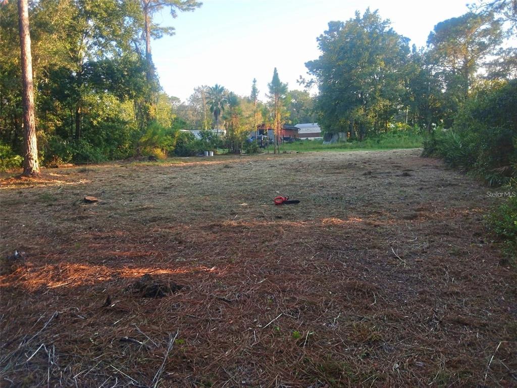 12955 Rio Vista Avenue New Port Richey, FL 34654 - Photo 6 of 9 a view of a field with trees in the background