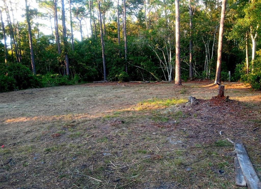 12955 Rio Vista Avenue New Port Richey, FL 34654 - Photo 8 of 9 a view of a yard with trees