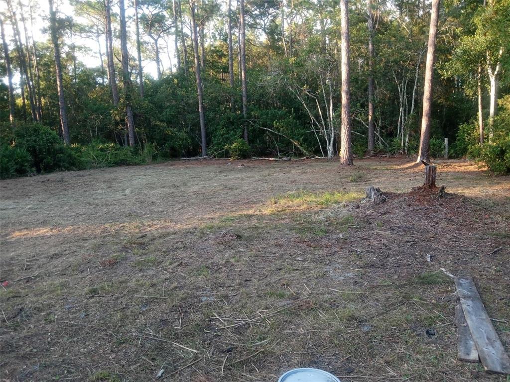 12955 Rio Vista Avenue New Port Richey, FL 34654 - Photo 9 of 9 a view of a backyard with trees