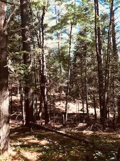 0 Red Tavern Road Malone, NY 12953 - Photo 7 of 7 Gallery Image 7